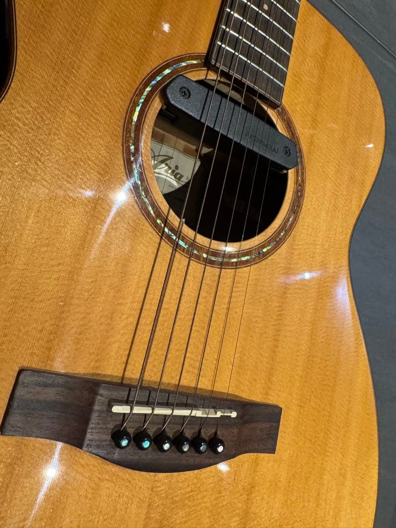 【セール中】Aria オール単板 Fishmanピックアップ付き ADF-CST