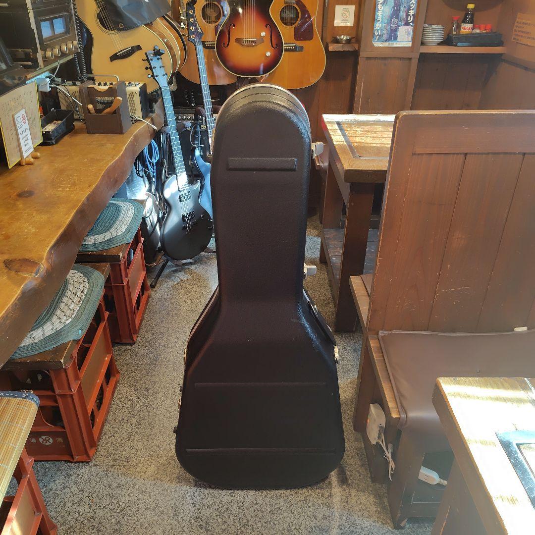 ギター Lakewood M-1