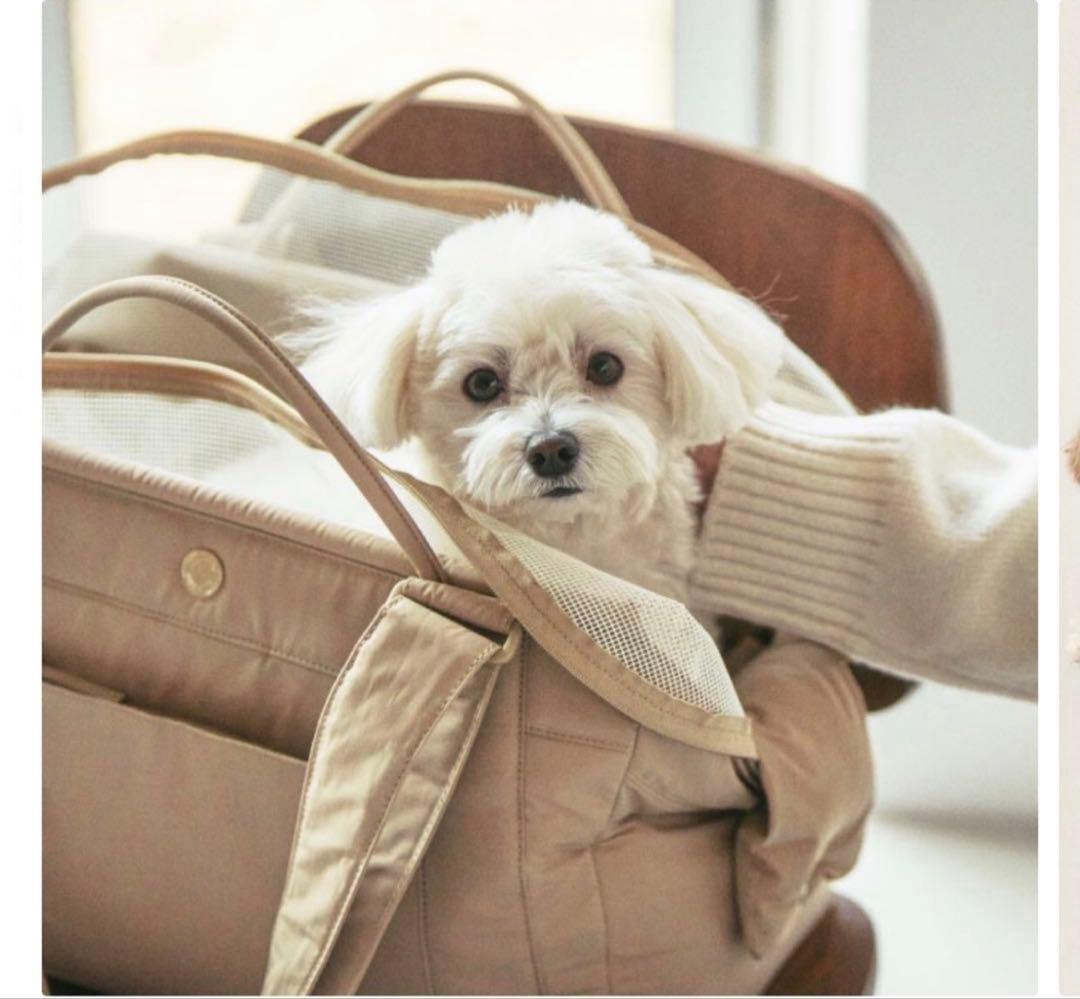 a.k！MILLIONG コットンキャンディ犬用キャリーバッグMサイズ