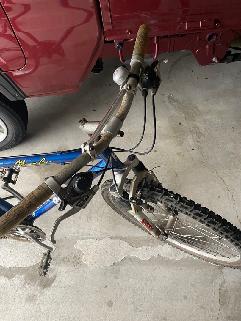 パナソニック　マウンテンキャット