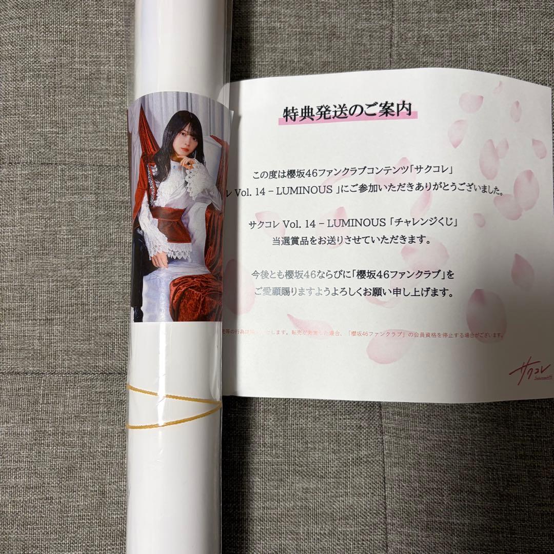 森田ひかる B2ポスター サクコレ8月 特別賞