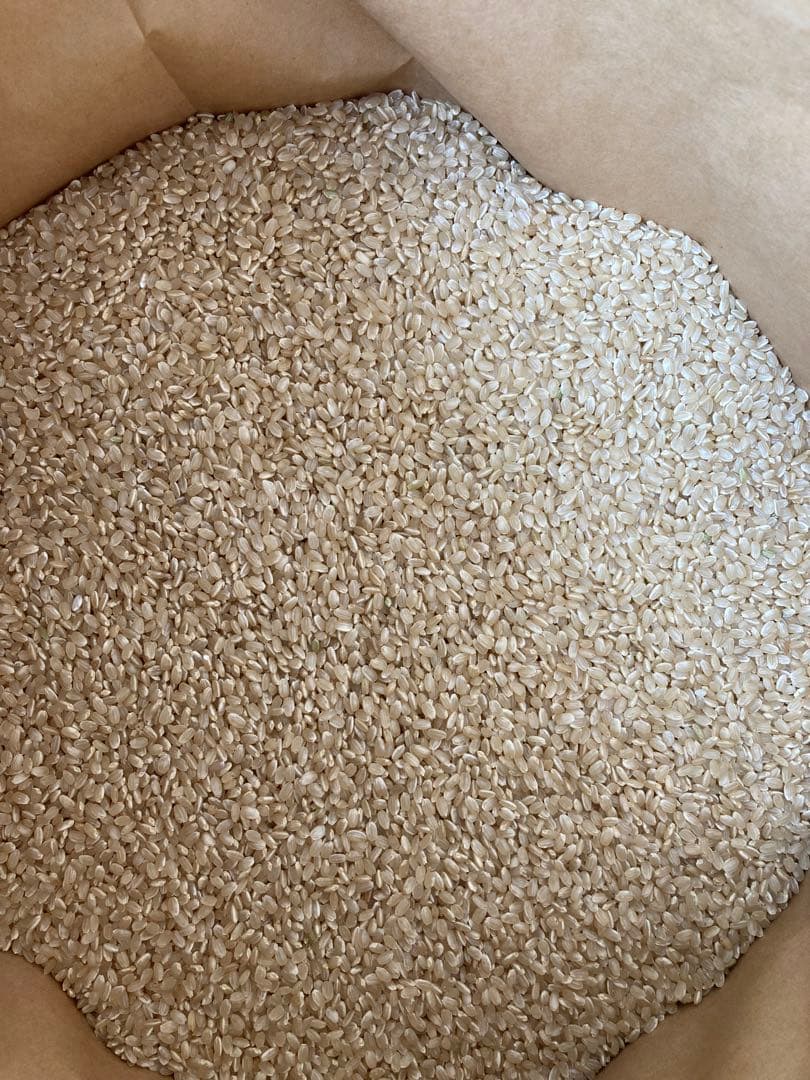 朝日米　自然栽培　玄米　30kg