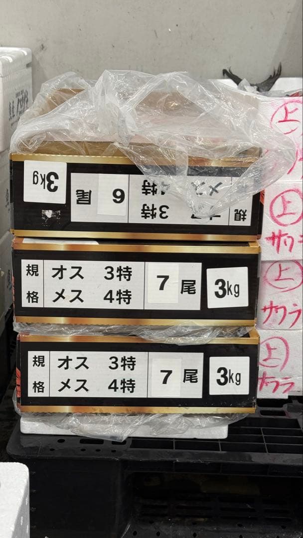 北海道産ボイルオオズワイガニ！特大！　冷凍 3k6匹入り！