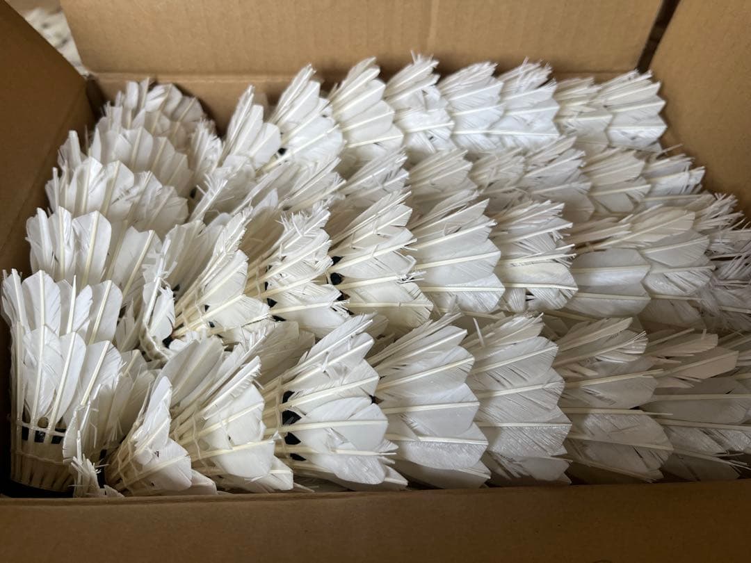 バドミントンシャトル 中古