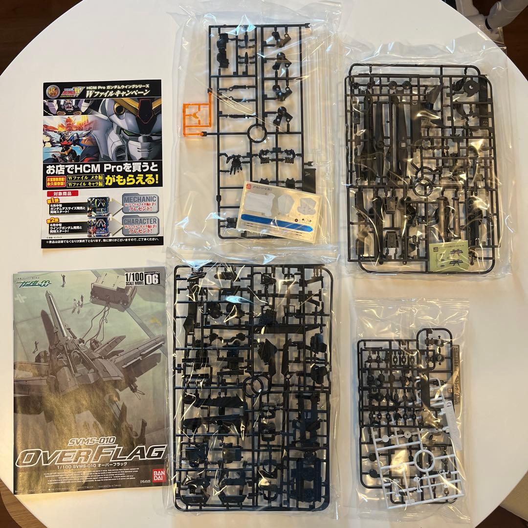 1/100 オーバーフラッグ