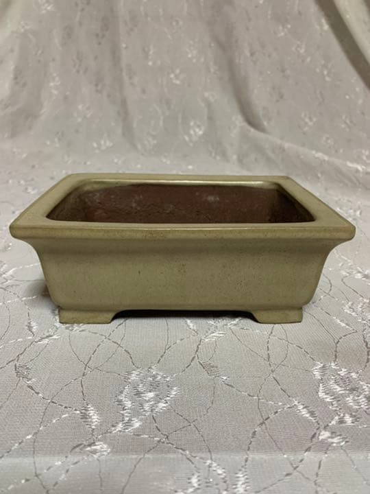 柴勝　盆栽鉢　長方