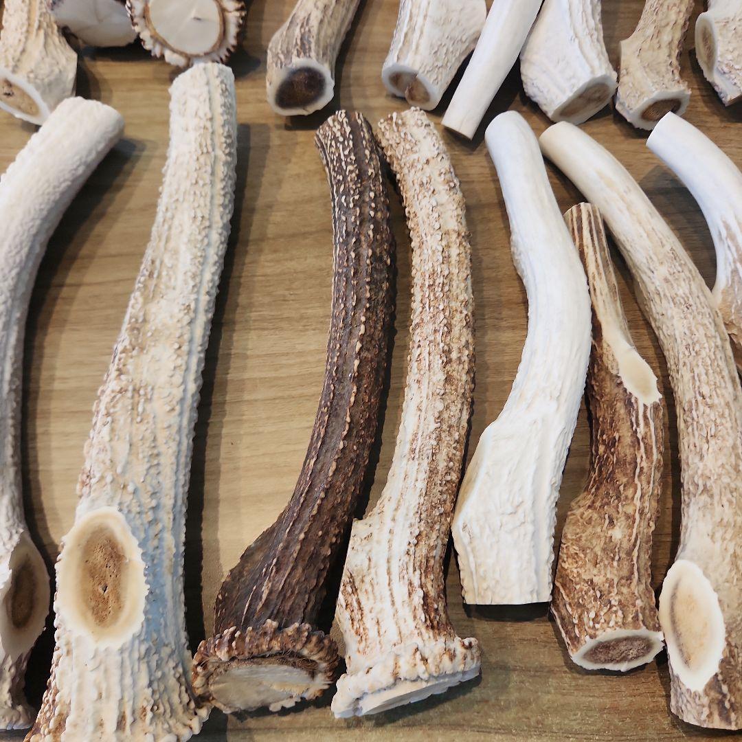 鹿の角 (特大～大サイズ)犬用おもちゃ ランダム　2kg　およそ4本～8本