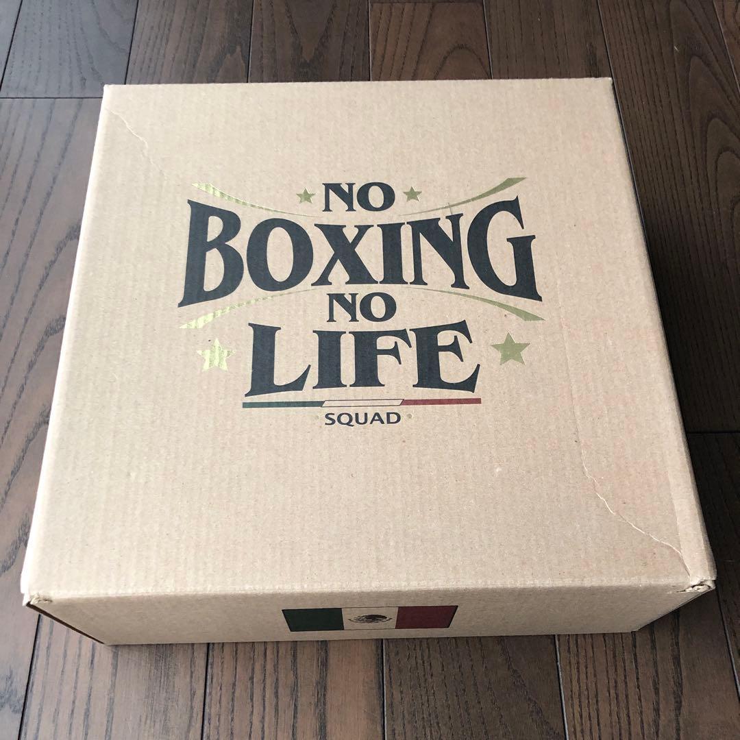 ボクシングシューズ　ノーボクシングノーライ　26cm特注品