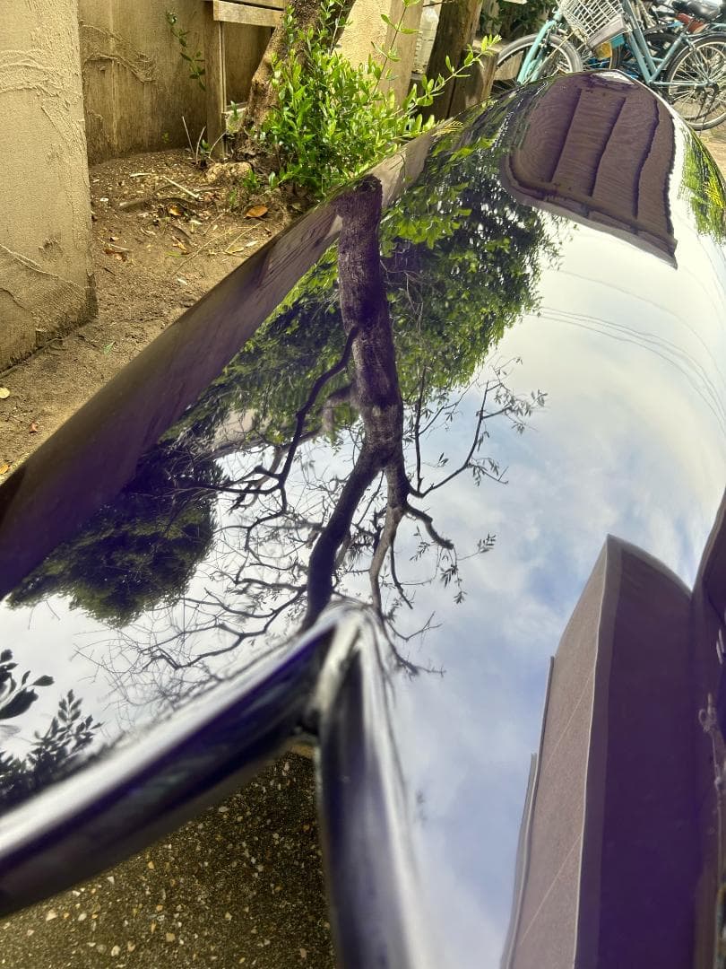 新品タイラーウォーレン Dream Fish 7’0 フィッシュ ツイン 手渡し