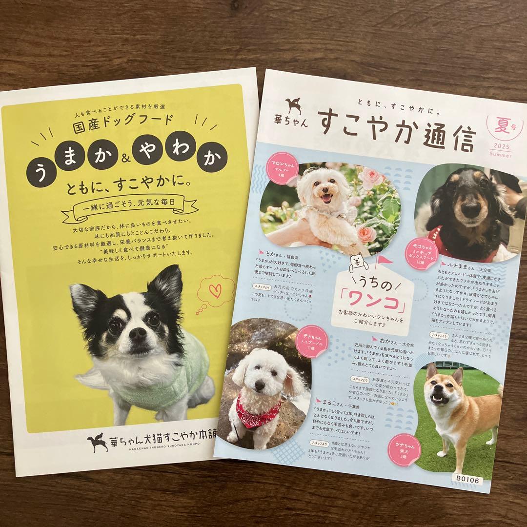 うまかドッグフード　1.5kg×6袋