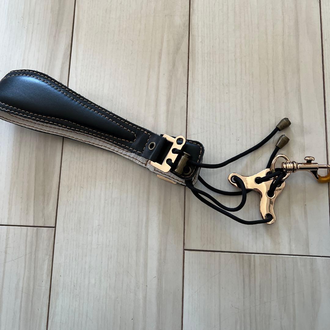 EWI5000 ケース＆ストラップ付き