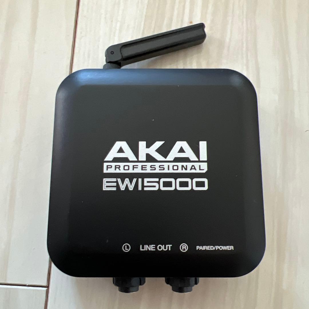 EWI5000 ケース＆ストラップ付き