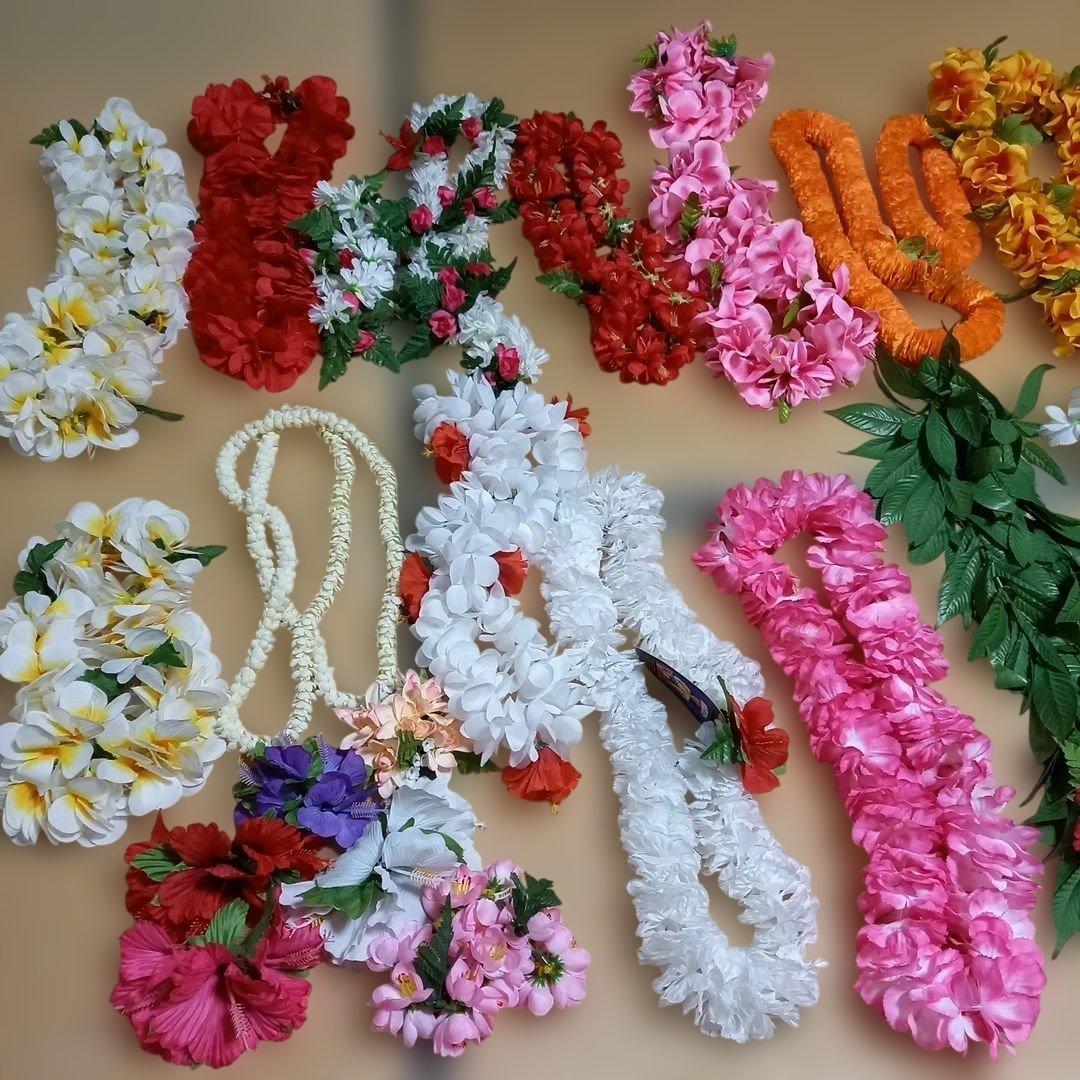 フラダンス用レイセット 20種類