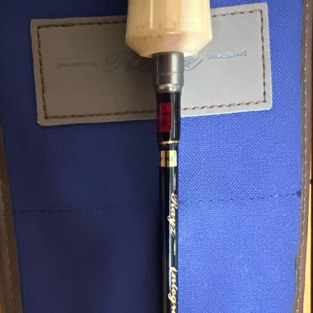 テンリュウ　レイズ　インテグラル　 RZ I 484Ｓ-ＵＬ