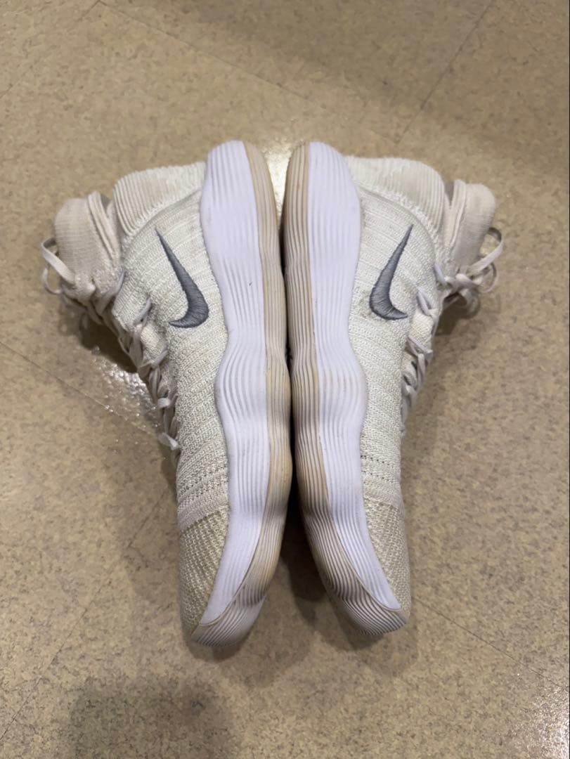 NIKE ナイキ　ハイパーダンク　29cm