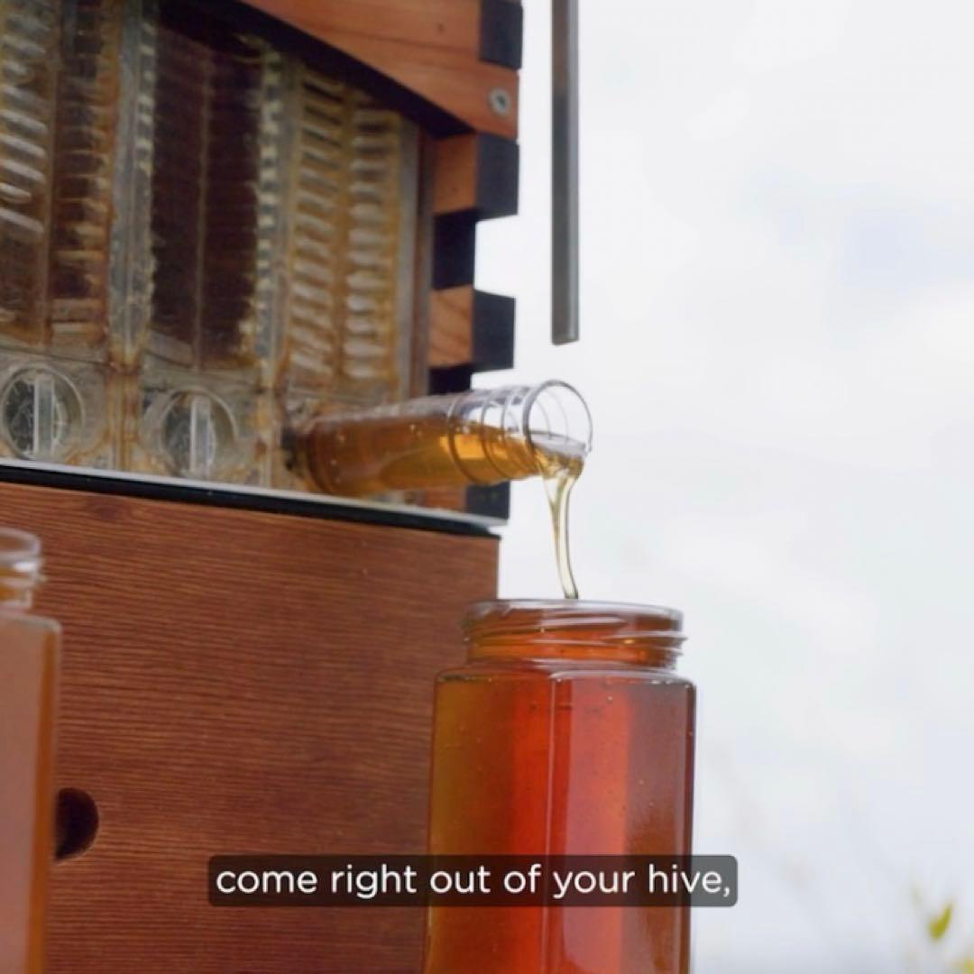 フローハイブ　蜜蜂巣箱 ミツバチ巣箱 蜜蜂飼育箱　ミツバチ飼育箱 ミツバチ養殖