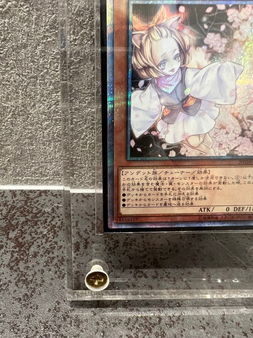 遊戯王OCG 灰流うらら20th & ブルーアイズオルタナティブホワイトドラゴン