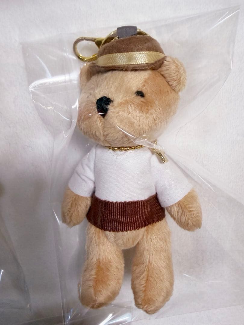 the GazettE ガゼット ベアキーリング ベア 葵 AOI 5種 未使用