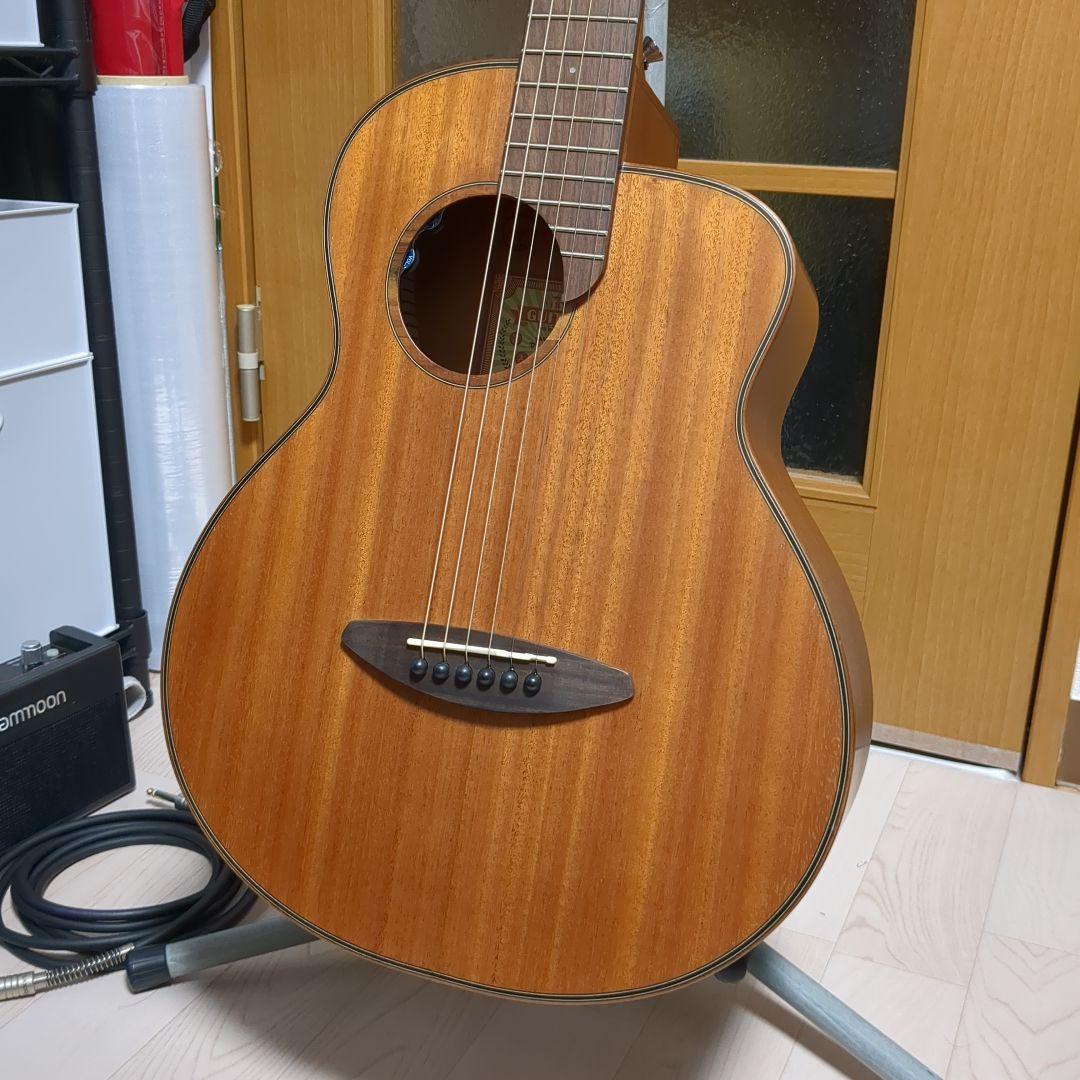 1/3まで aNueNue aNN-M20E ギター