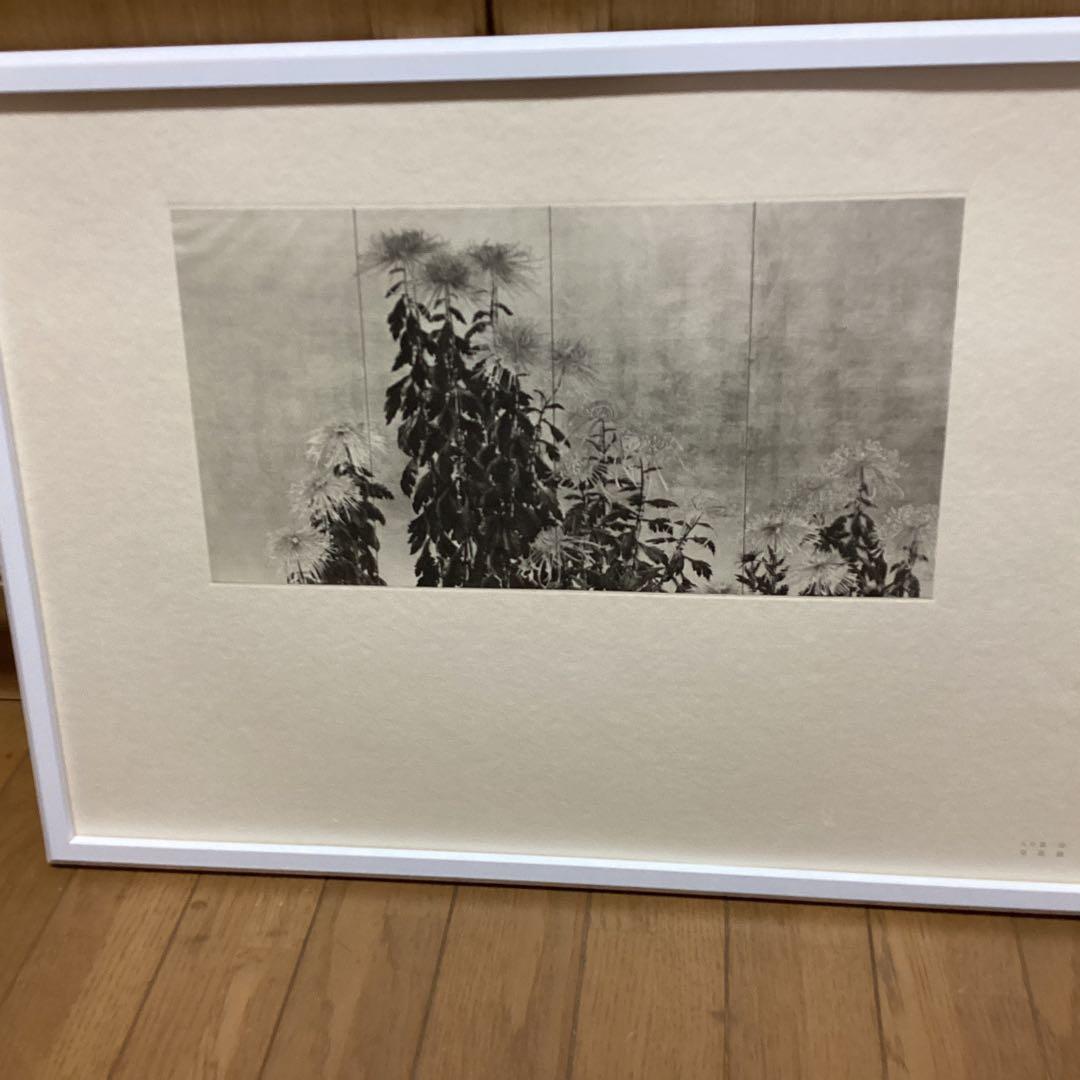 天才画家速水御舟　作品集大作編　便利堂監修　画集　NO 10 【菊花図】