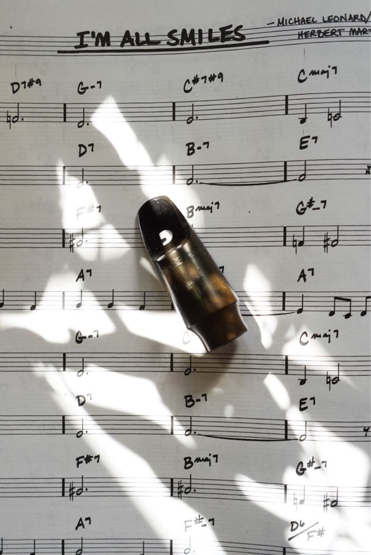 Otto link Tone Edge ソプラノサックス用 ビンテージ 6