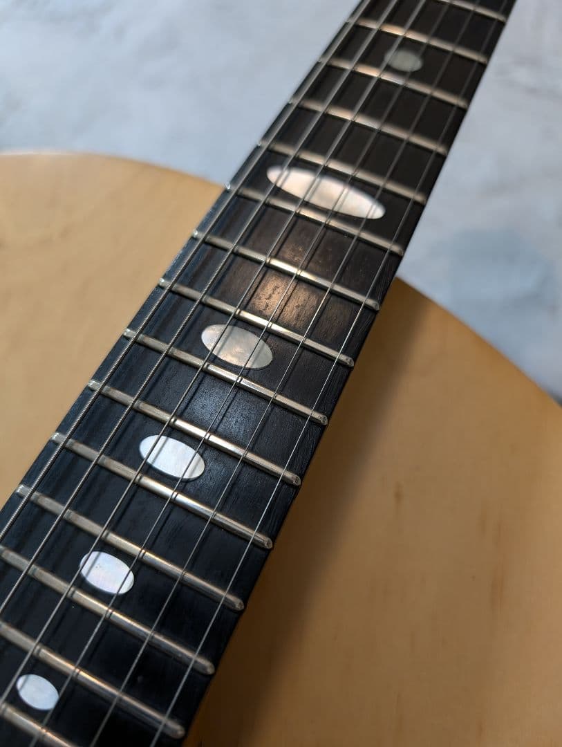 【ジャンク】アレンビック　ALEMBIC MSG　(改造用)