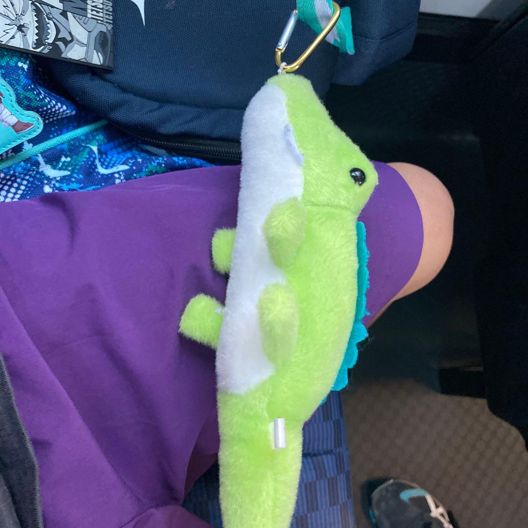 カエルのぬいぐるみ キーホルダー付き