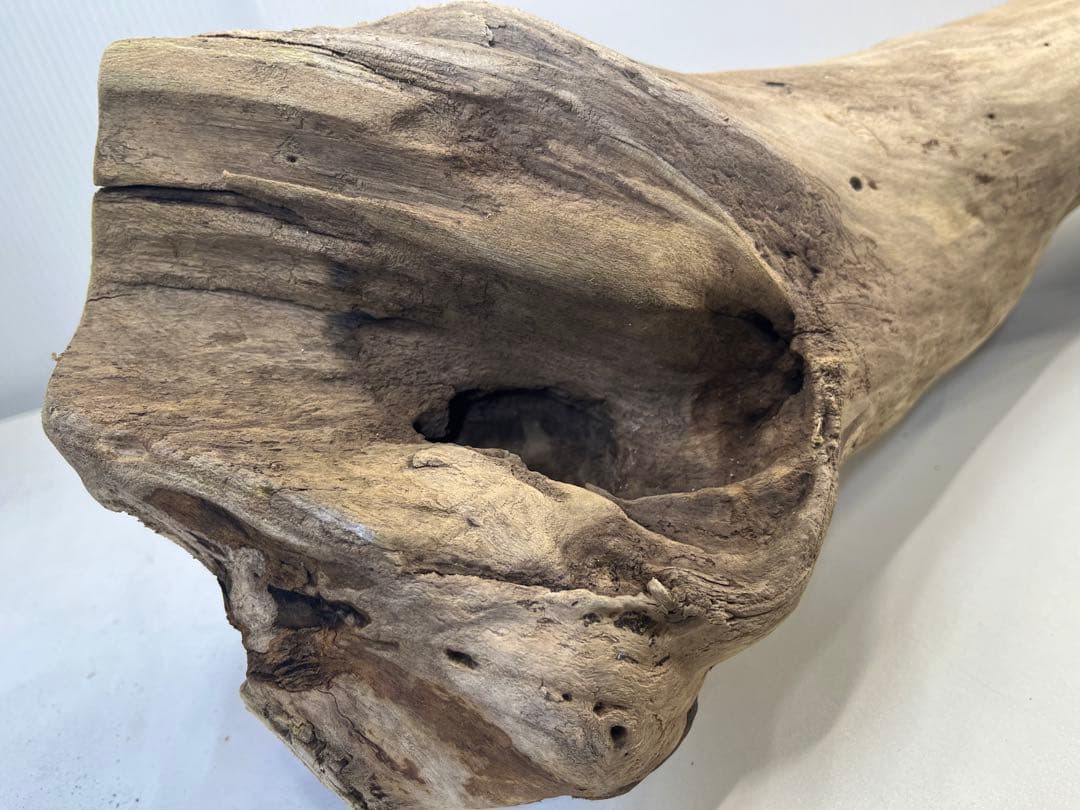 R64特大流木 アク抜き済み流木 爬虫類シェルター 登り木 インテリア 生け花