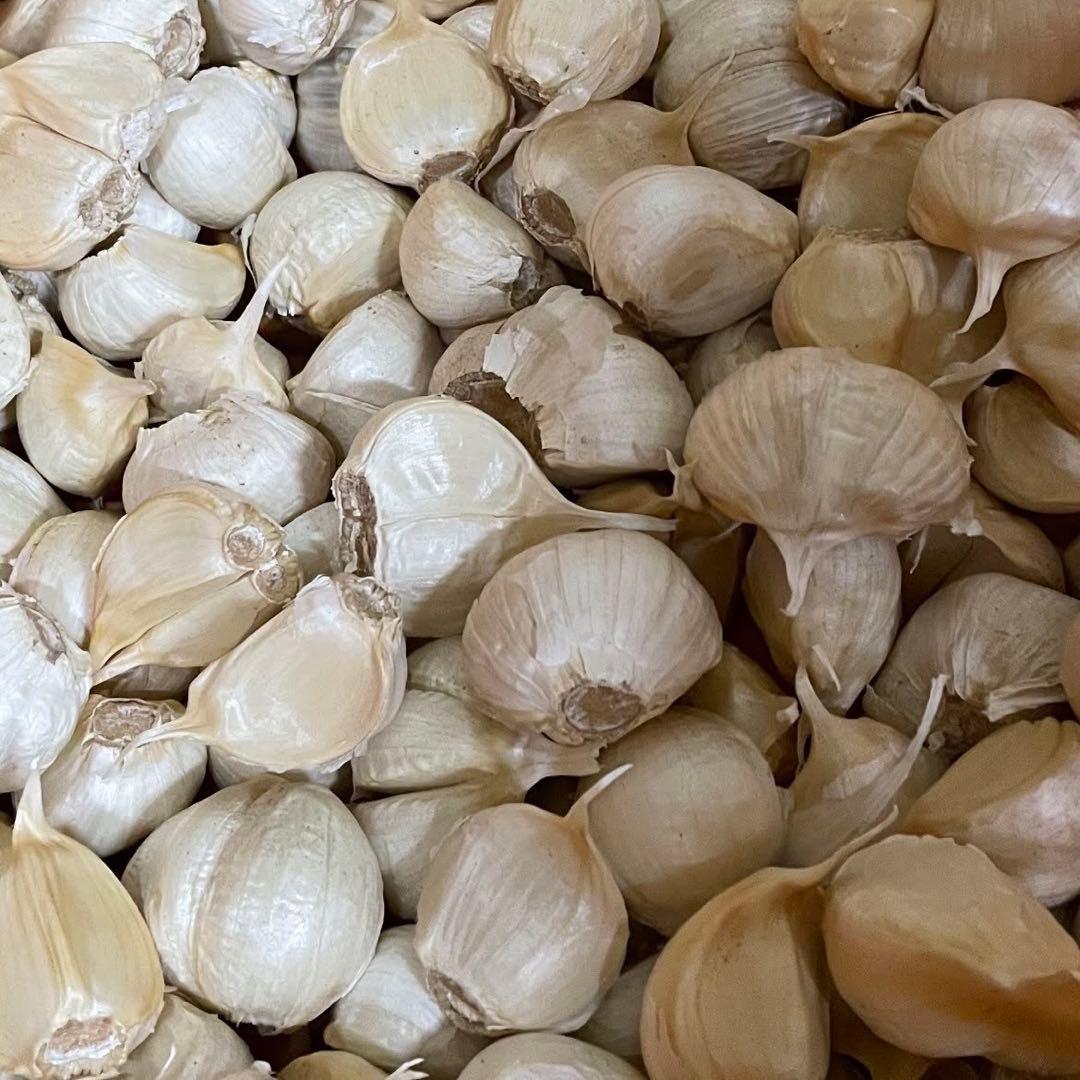 青森県産 ホワイト六片 ニンニク にんにく バラ 6 5kg