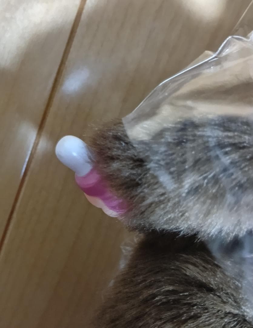 ギンガムスタイ モンチッチ イエロー＆プレミアムスタンダード　Lサイズ