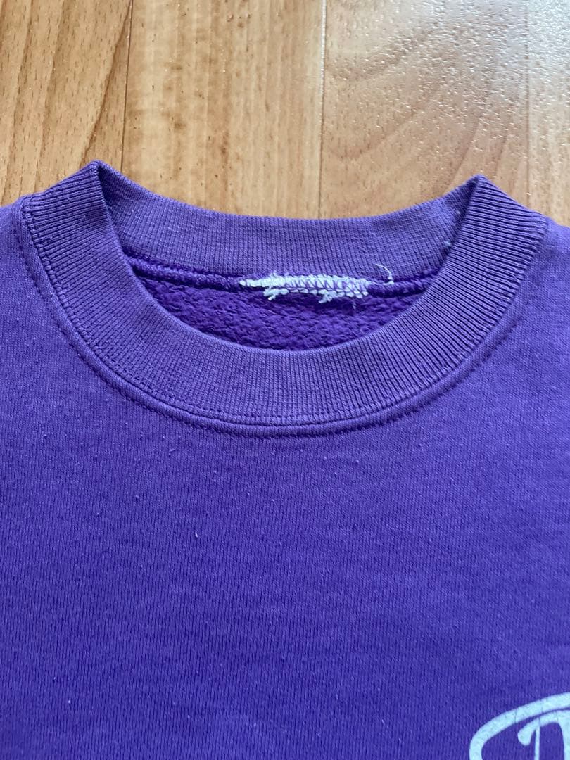 90sDOGTOWNスウェット Santa Cruz Powell zorlac