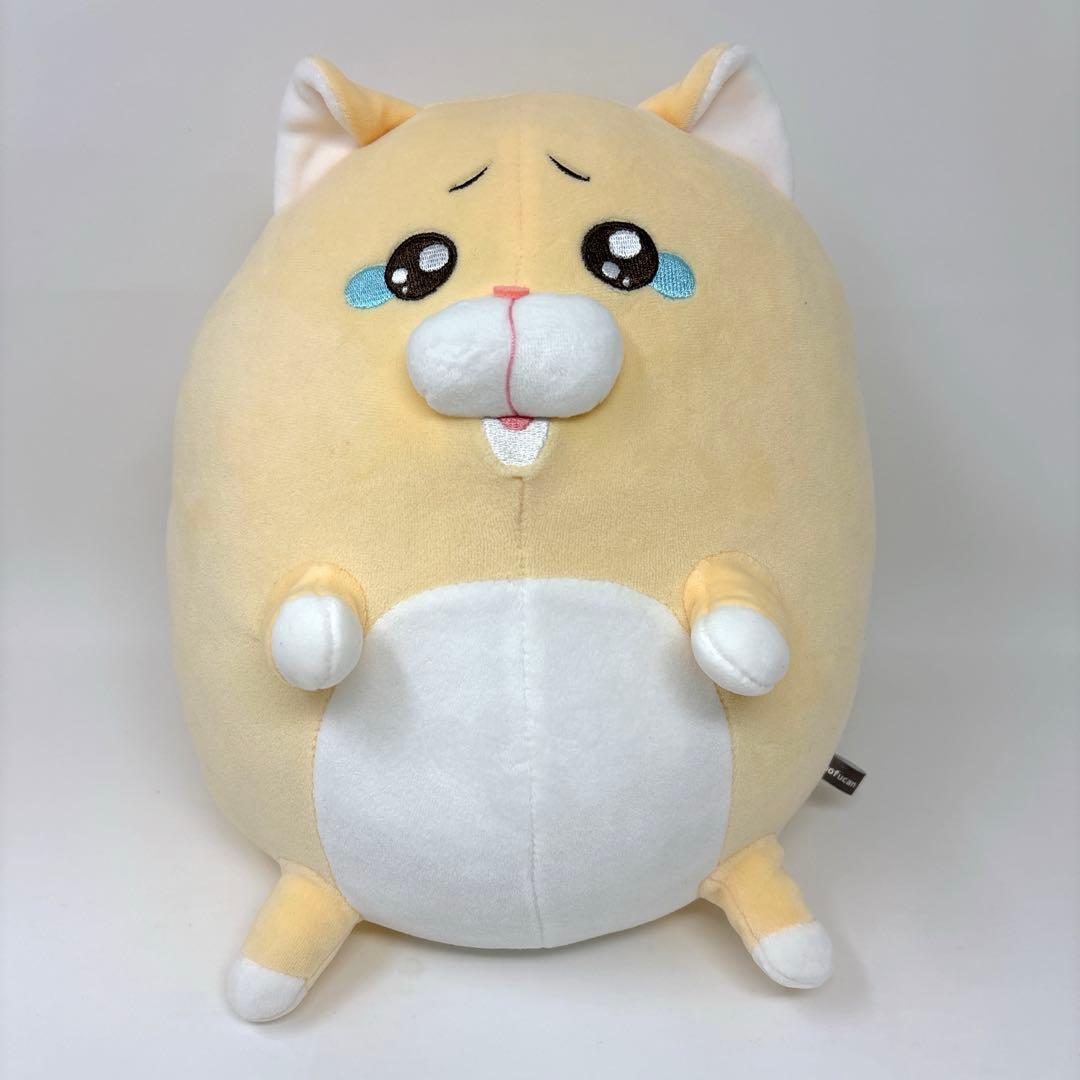 泣きむし猫のキィちゃん ましゅもっち BIGぬいぐるみ モフ缶 猫 希少