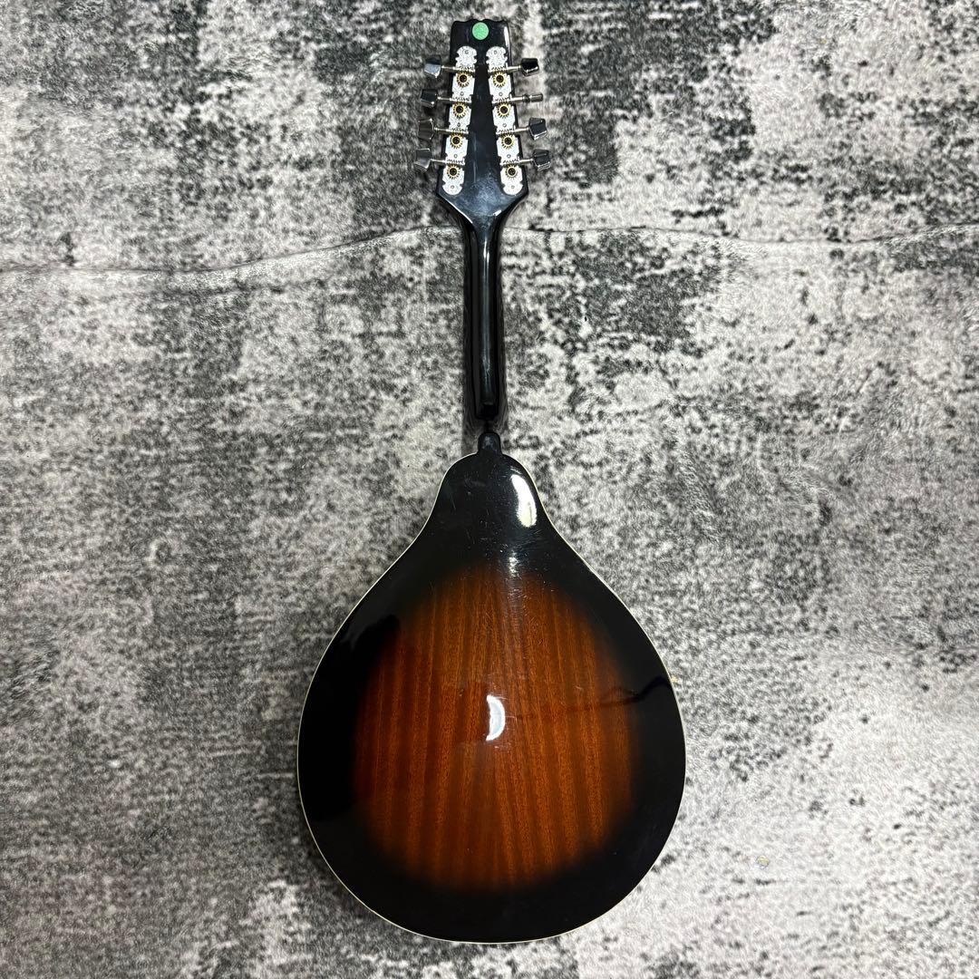 エレキマンドリン Aria AM-20E ピックアップ搭載 ケース2個付き