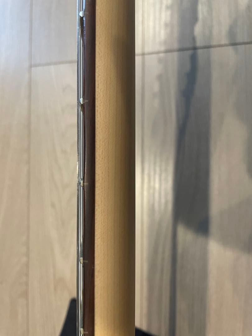 Psychederhythm(サイケデリズム)エレキギター