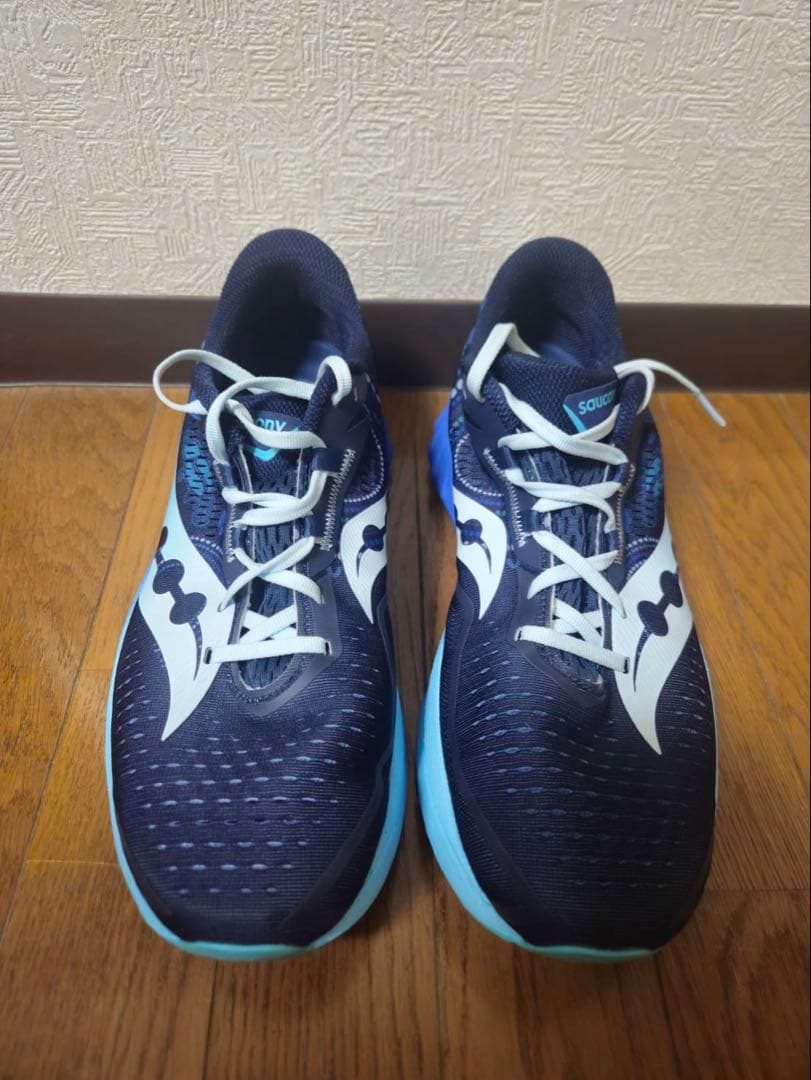 【限定カラー】SAUCONY ENDORPHIN SPEED 4／29㎝