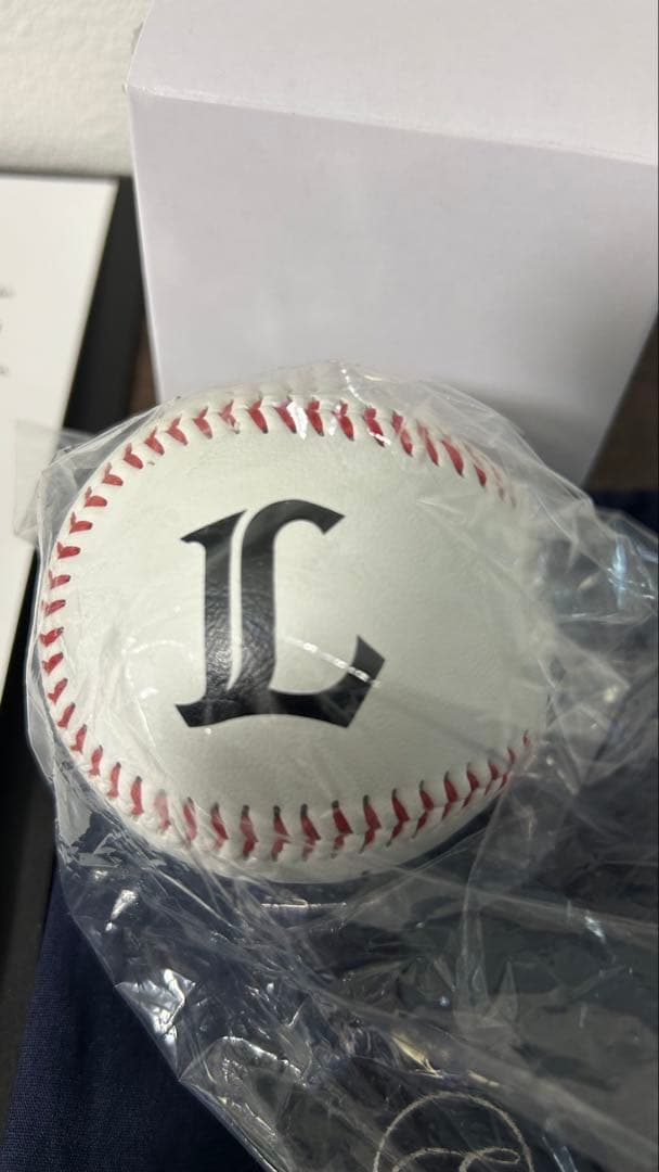 蛭間拓哉 ライオンズ 直筆サインボール