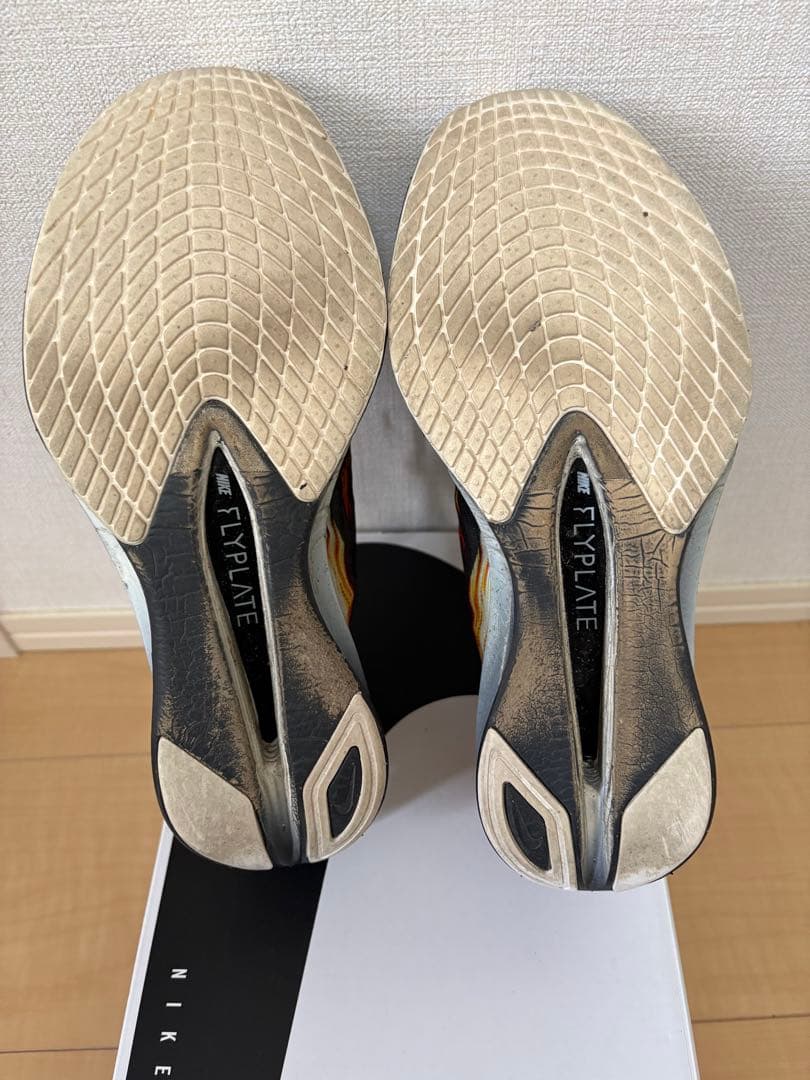 【終売カラー】ヴェイパーフライ4 25.5センチ