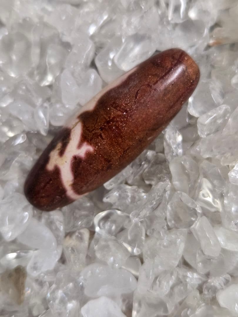 061　天珠　赤色の騎龍観音天珠　dzibeads！