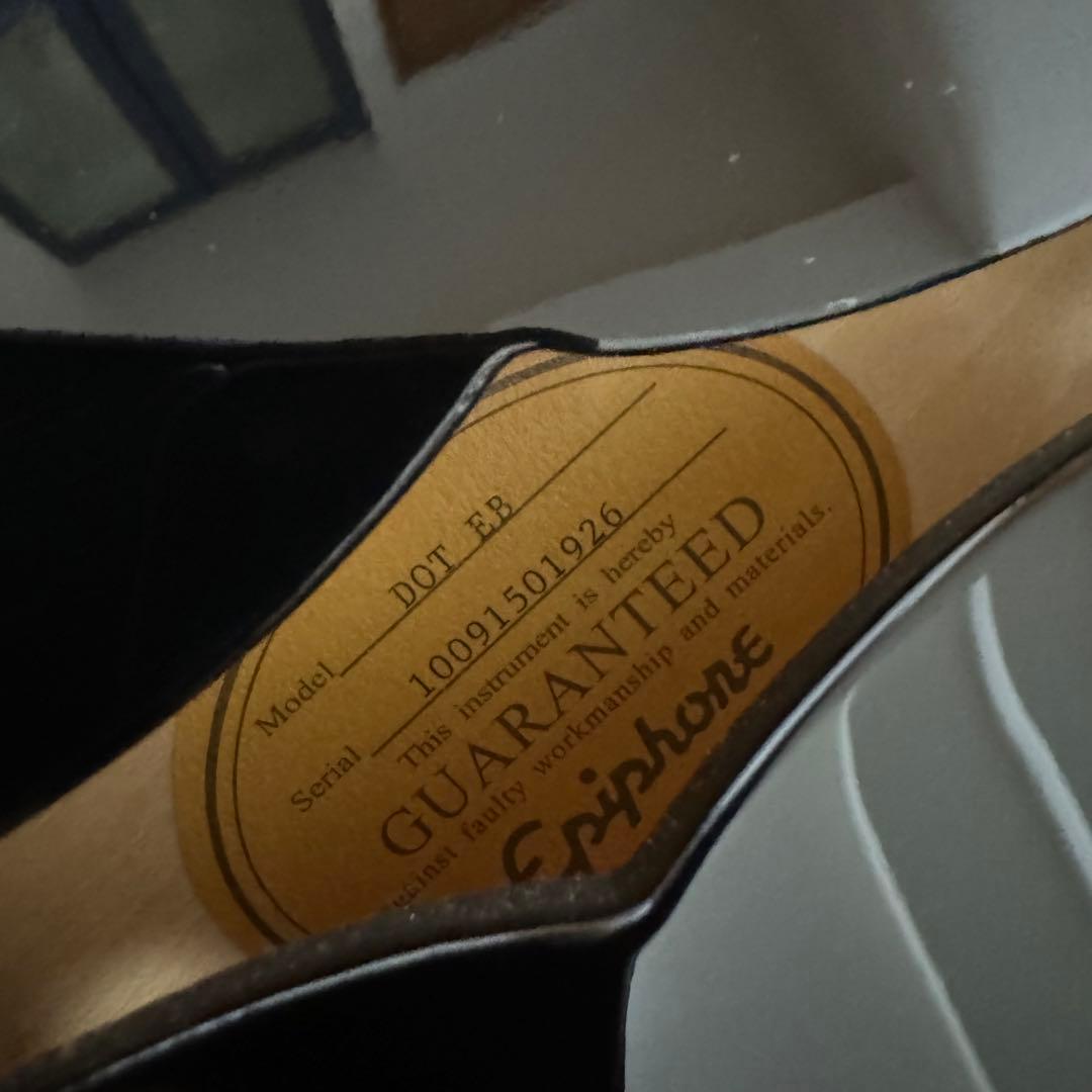 Epiphone エピフォン Dot EB 純正ソフトケース付き