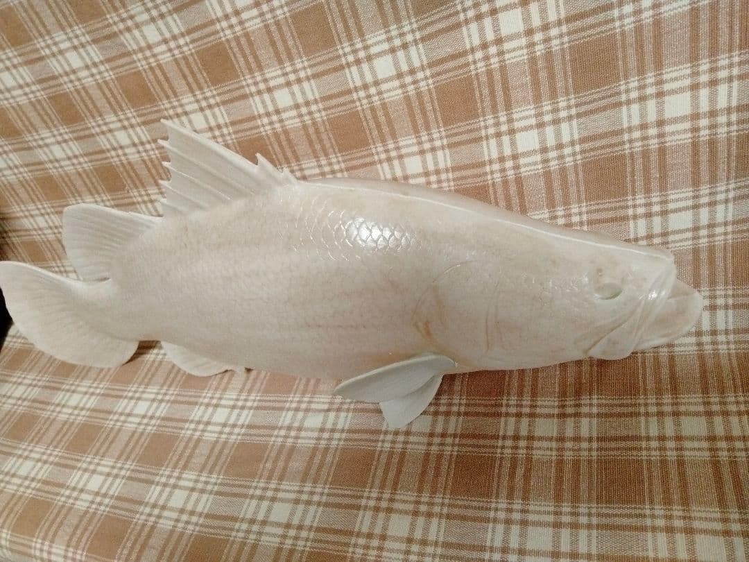 ハンドメイド　50cmアカメ フィギュア　レプリカ魚模型　未塗装　ガレージキット