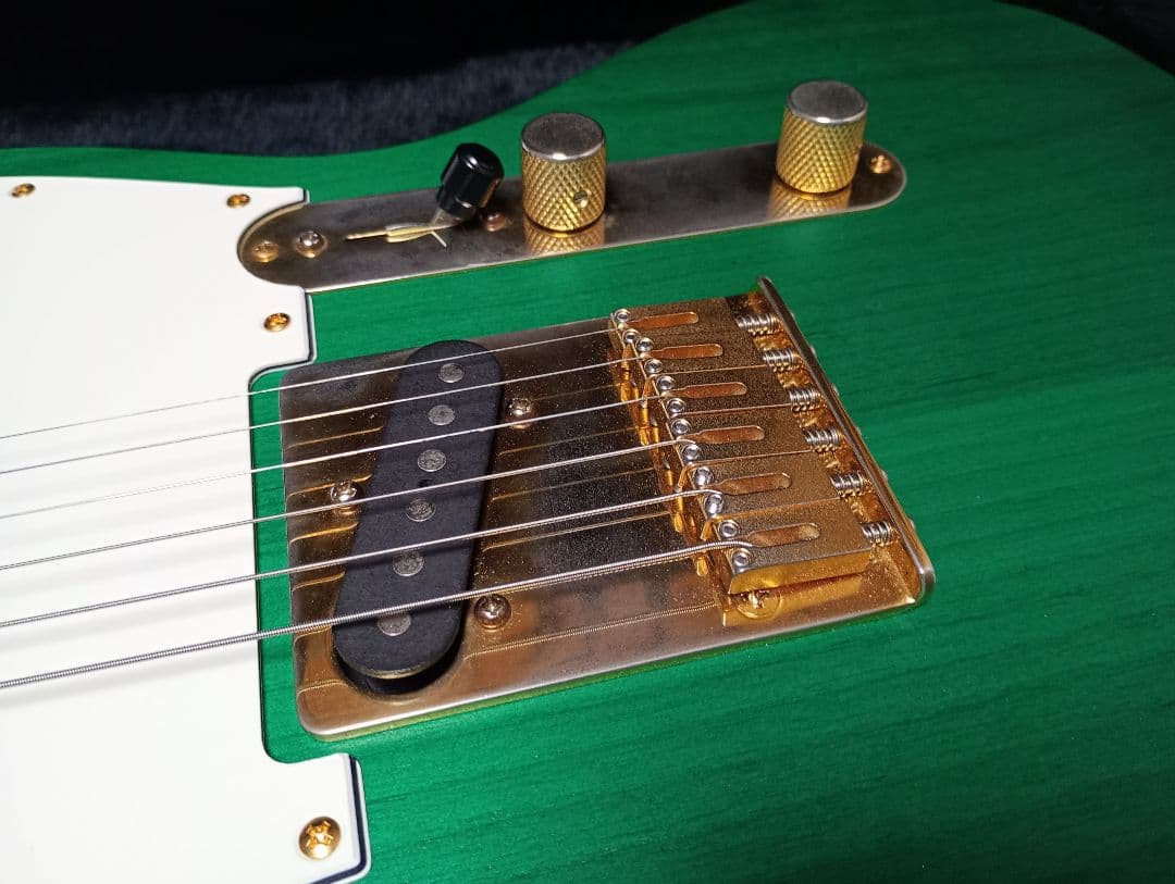 m*r様 テレマスター オフセットテレキャスター セミハードケース ジャズマスタ