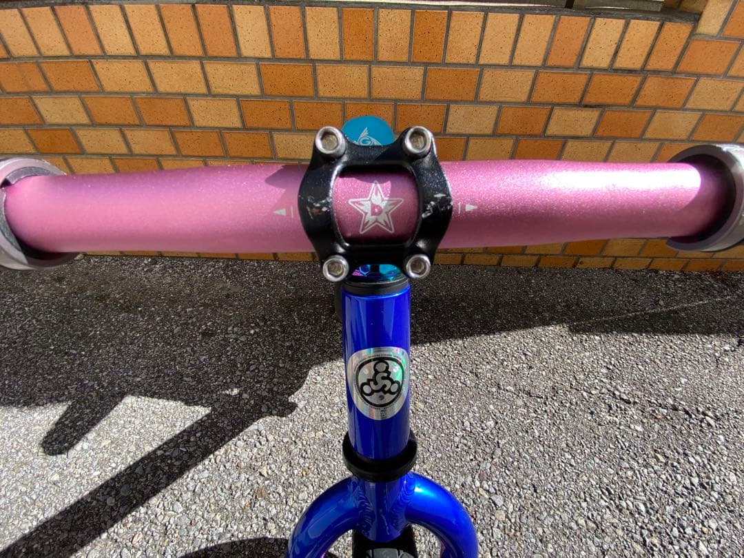 【手渡し限定/埼玉南部】⭐︎ストライダープロ⭐︎ランバイク⭐︎おまけ付き【カスタム】