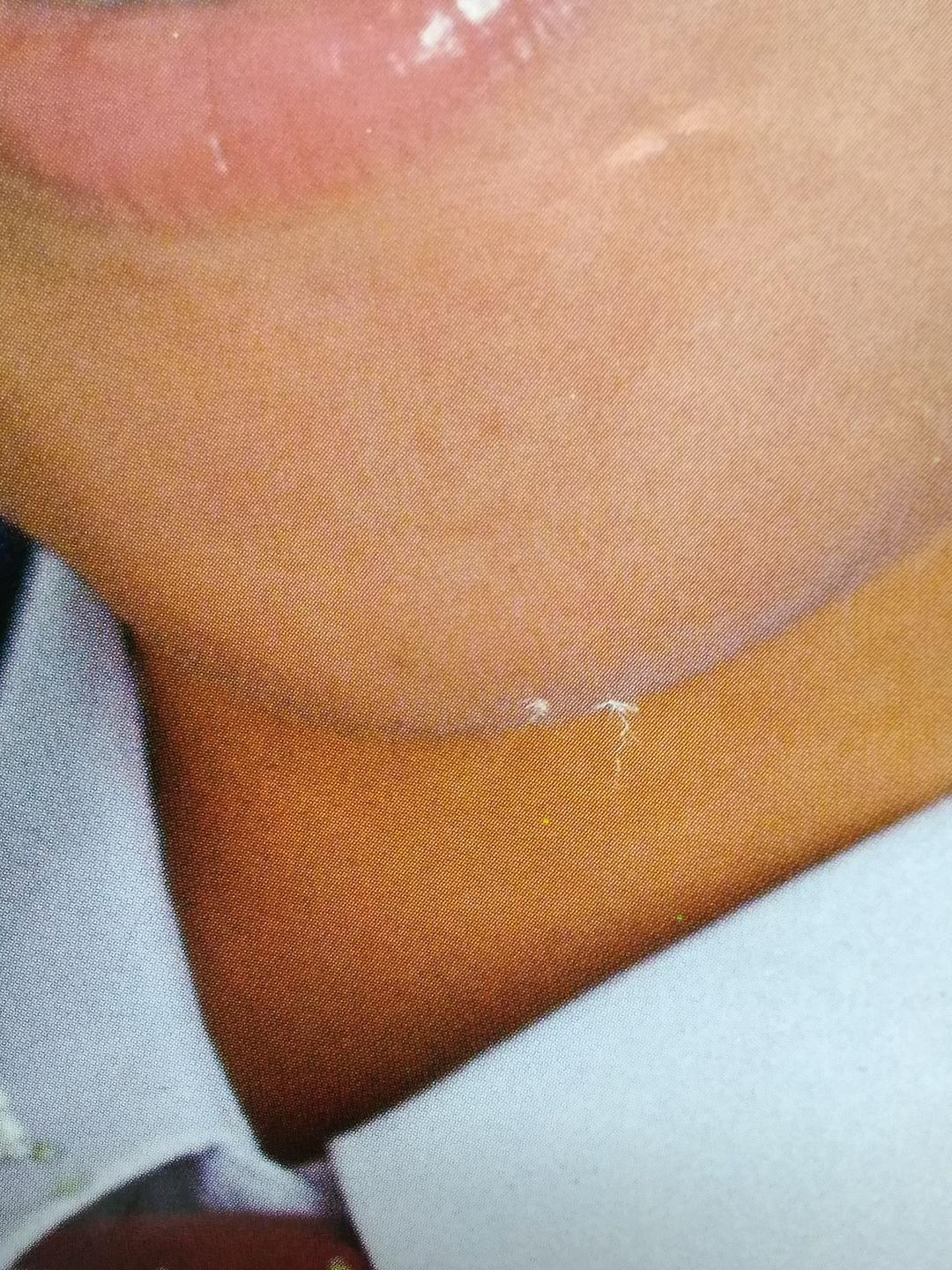 松田聖子ポスター　カンコー学生服非売品