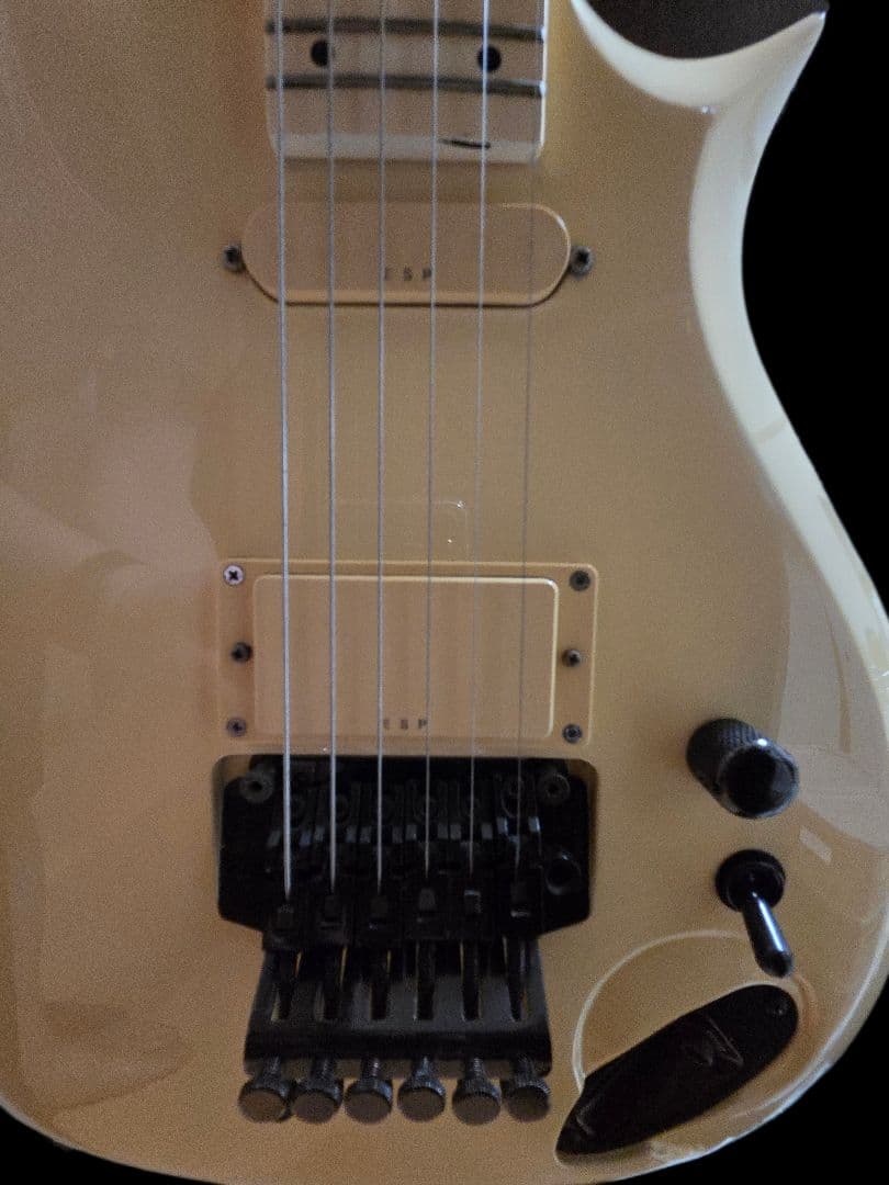 m*1様 Edwards ES-150PR LUNASEA SUGIZO プリン