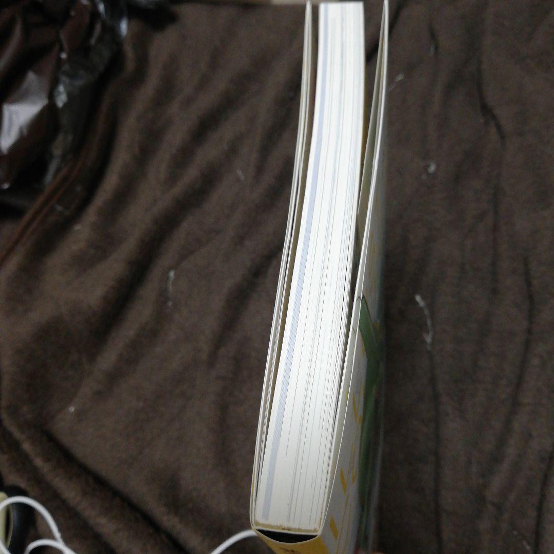 特典プロモ2種　レックウザ　おきがえピカチュウ　未開封付き イラストコレクション