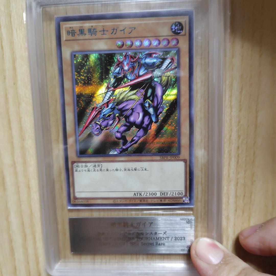 暗黒騎士ガイア ブルシク ars10