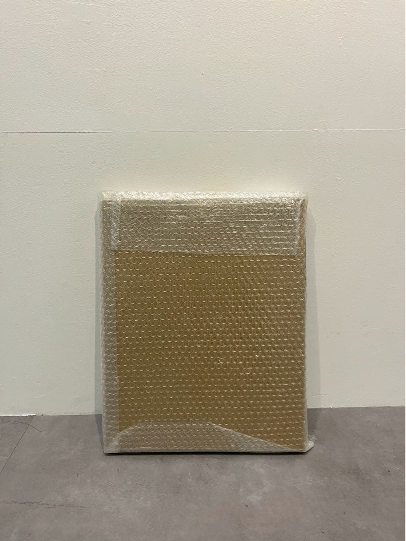 田中一太《写実絵画の為のプロトタイプ》