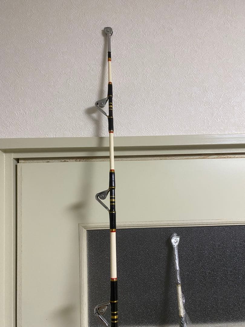 PENN INTERNATIONAL IGFA 2本セット ロッド