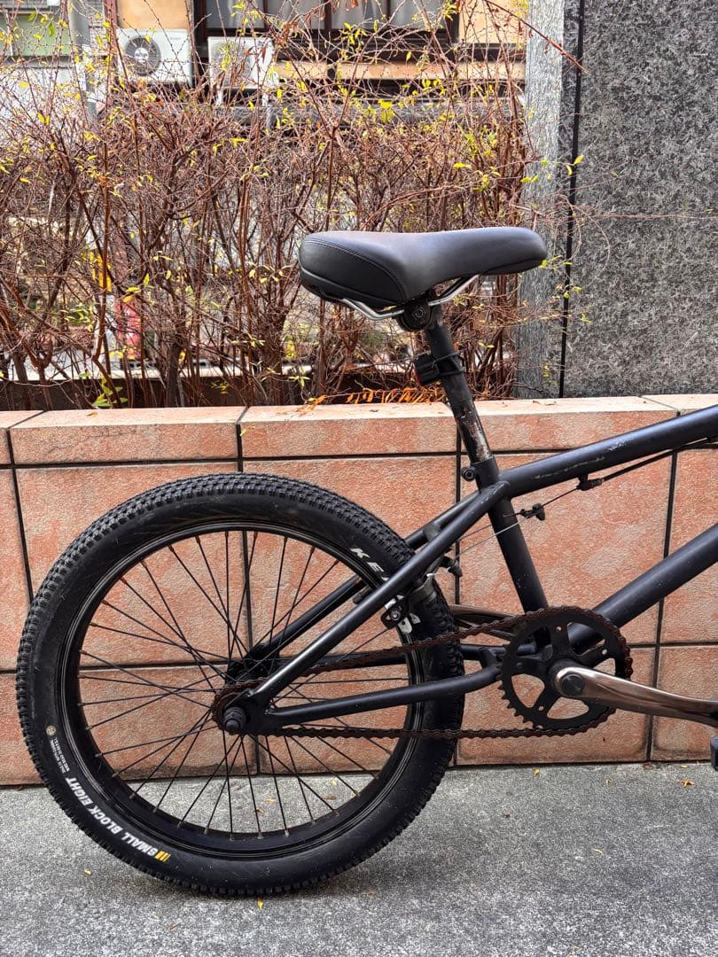 ブラック BMX 20インチ 自転車