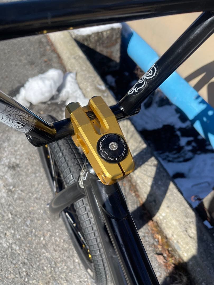 BMX S&M JOSH STRICKER 21”